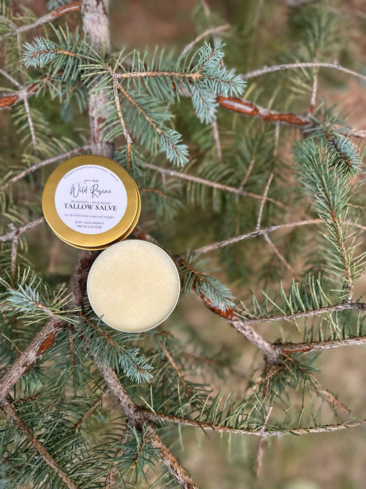 Wild Rescue | Plantain + Pine Resin Tallow Salve