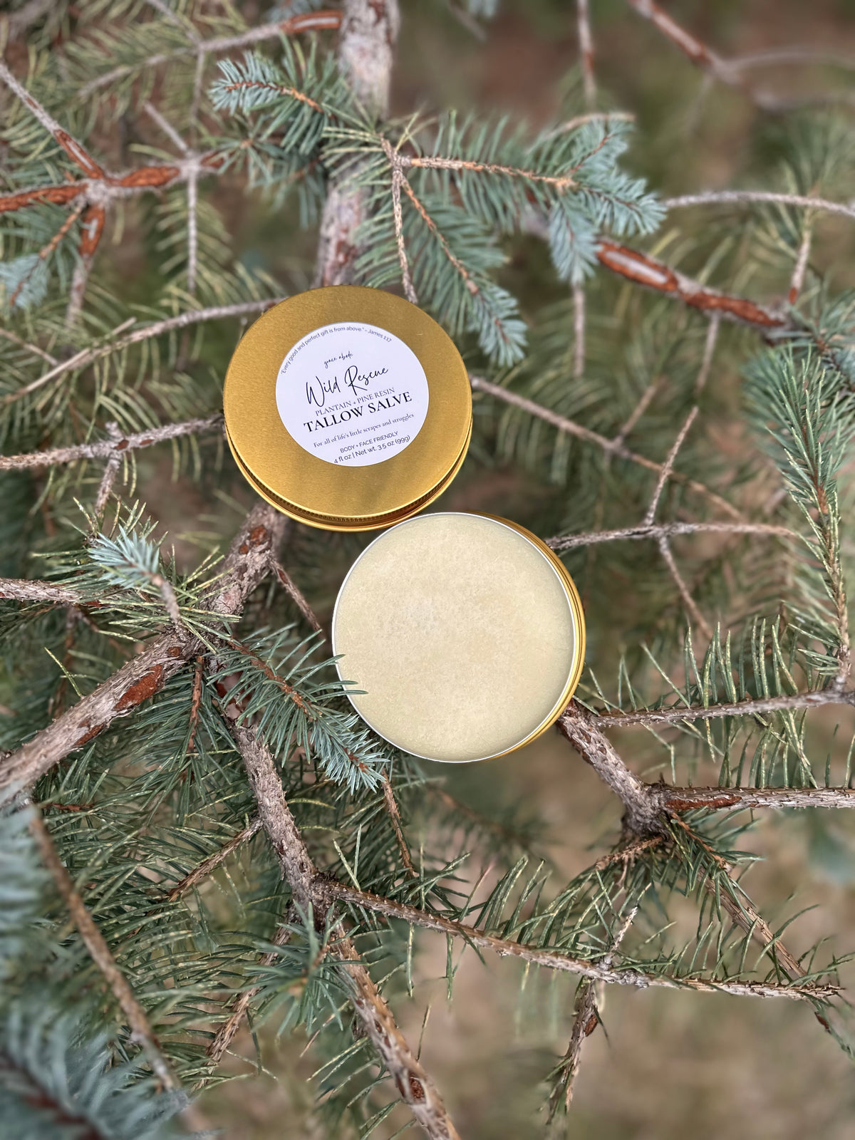 Wild Rescue | Plantain + Pine Resin Tallow Salve