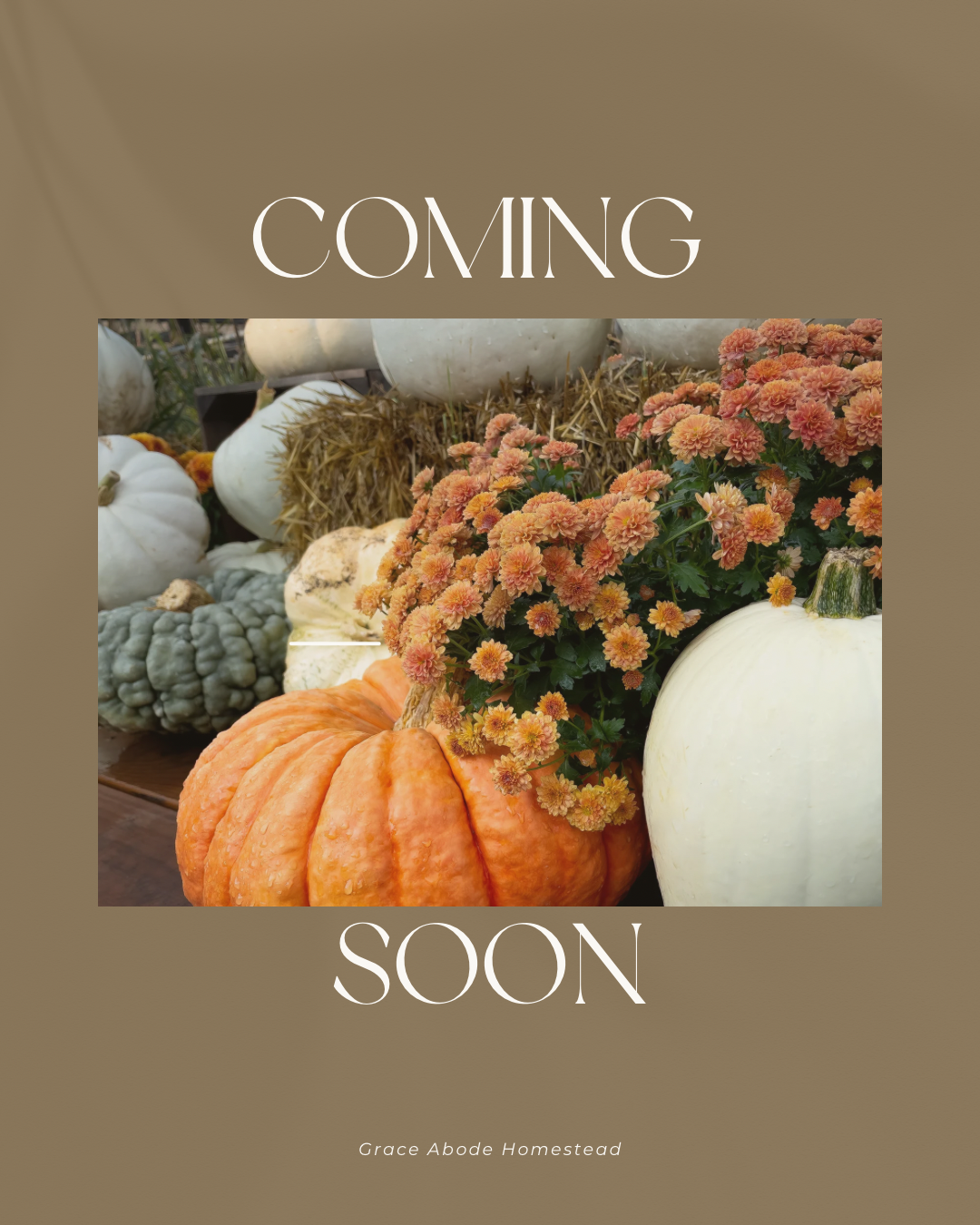 Fall Collection
