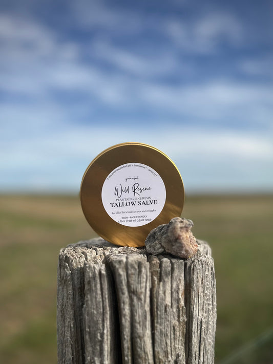Wild Rescue | Plantain + Pine Resin Tallow Salve
