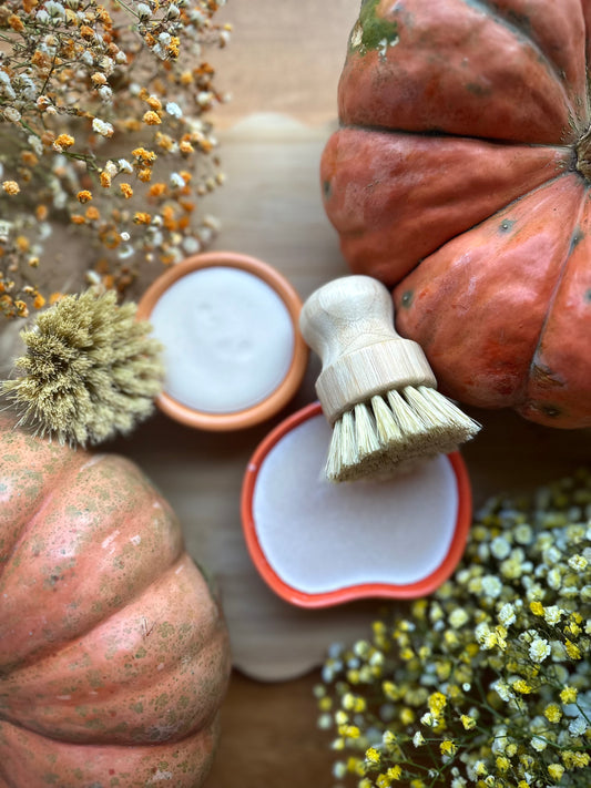 Harvest Suds Dish Soap | Zero Waste + Super Cleansing